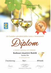Bronzová medaile - Hovorany 2025